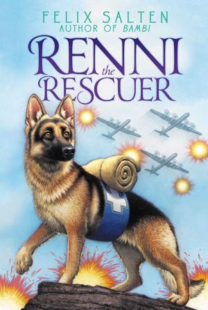 Cover of the book Renni the Rescuer by Franklin W. Dixon