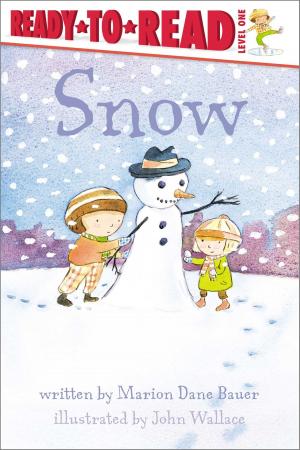 Cover of the book Snow by Natalie Shaw