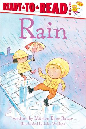 Cover of the book Rain by Maggie Testa, Charles M. Schulz