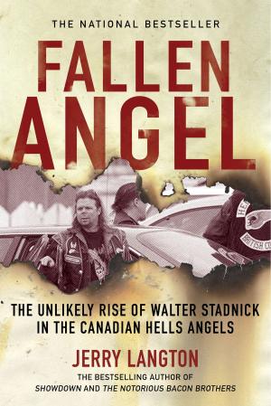 Cover of the book Fallen Angel by Karen Huston Karydes