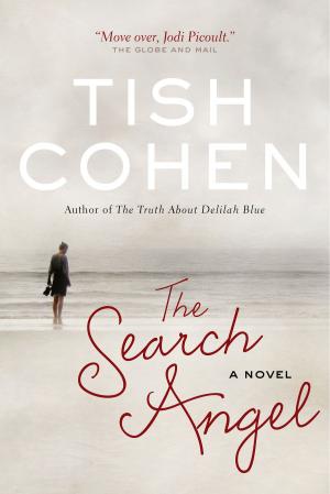 bigCover of the book The Search Angel by 