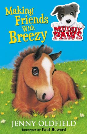 Cover of the book Making Friends with Breezy by Judy Allen