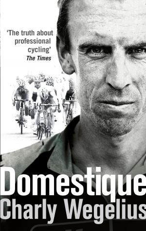 Cover of the book Domestique by Portia Da Costa