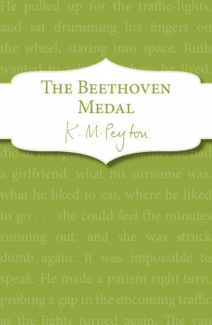 Book cover of The Beethoven Medal