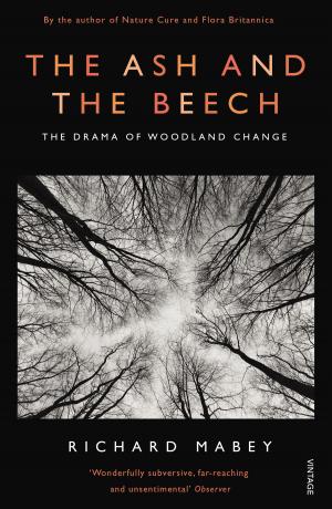 Book cover of The Ash and The Beech