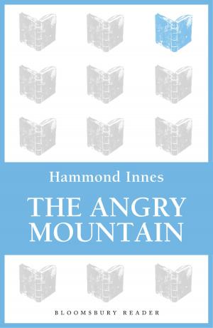 Book cover of The Angry Mountain