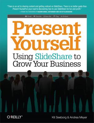 Cover of the book Present Yourself by Lorenz Hölscher