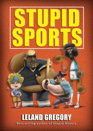 Cover of the book Stupid Sports by Lincoln Peirce