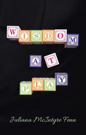 Cover of the book Wisdom at Play by Allie Rothberg
