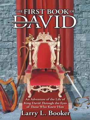 Cover of the book The First Book of David by Howard D. Kurland