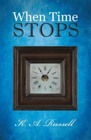 Cover of the book When Time Stops by Holly Christine Hayes