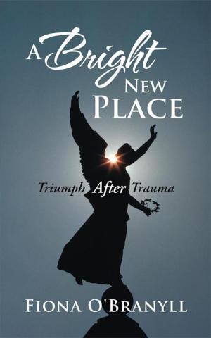 Book cover of A Bright New Place