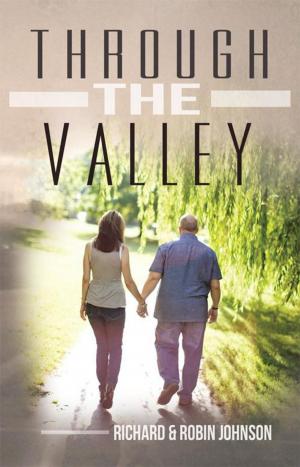 Book cover of Through the Valley