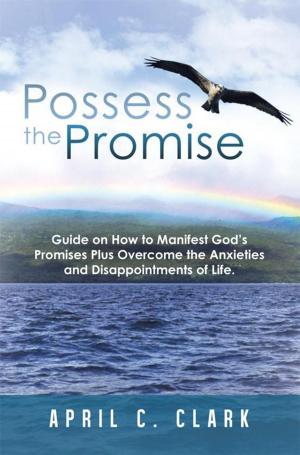 Cover of the book Possess the Promise by James R. Kok