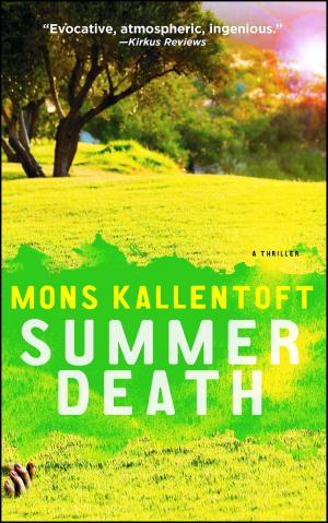 Cover of the book Summer Death by Spencer Baum