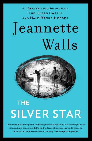 Book cover of The Silver Star