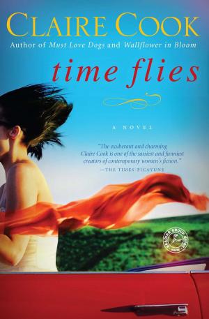 Cover of the book Time Flies by Laura Pauling