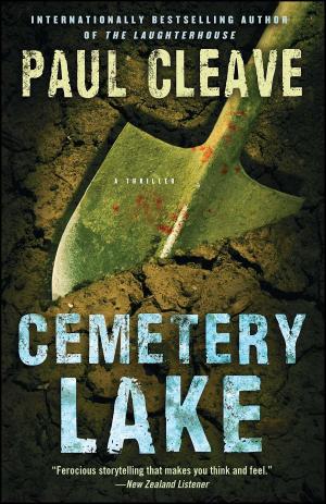 Cover of the book Cemetery Lake by Mona Lisa Schulz, M.D., Ph.D.