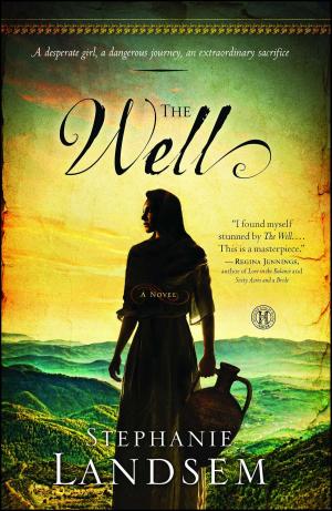 Cover of the book The Well by Karen Kingsbury
