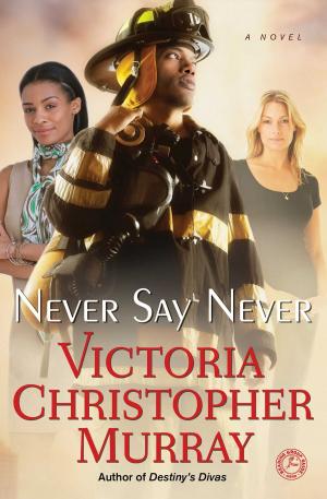 Cover of the book Never Say Never by Kim Baker, Sunny Baker