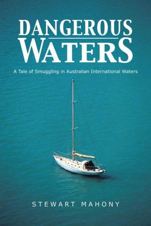 Cover of the book Dangerous Waters by Lewis Philips