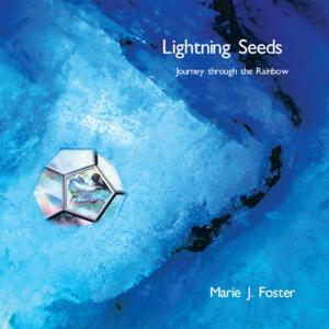 Cover of the book Lightning Seeds by Michael W. Weaver, Will Scott