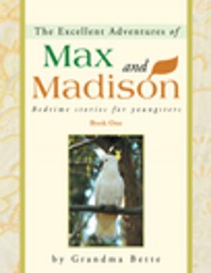 Cover of the book The Excellent Adventures of Max and Madison by Nancy Yousefian Khanlu