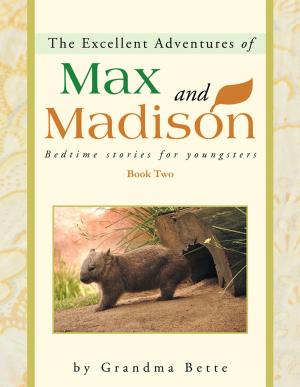 Cover of the book The Excellent Adventures of Max and Madison by Shellan Marie
