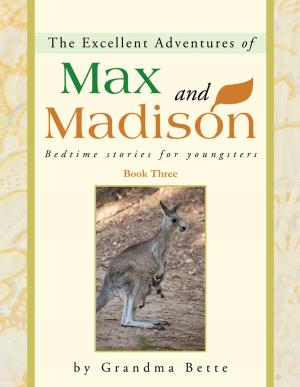 Cover of the book The Excellent Adventures of Max and Madison by James Westly