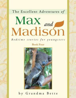 Cover of the book The Excellent Adventures of Max and Madison by Mitchell E. Roth
