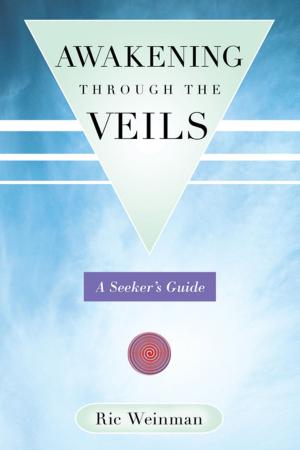 Cover of the book Awakening Through the Veils by Webb Sprague