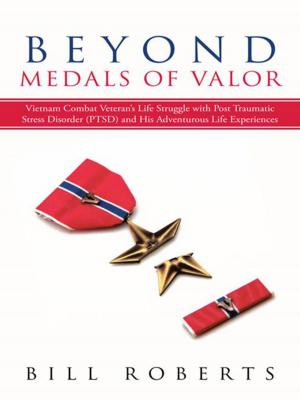 Cover of the book Beyond Medals of Valor by Ehryck F. Gilmore Ch.