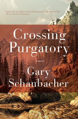 Cover of the book Crossing Purgatory by Ofir Drori, David McDannald