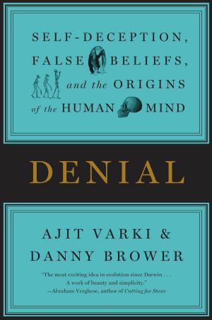 Cover of the book Denial by Professor Happycat