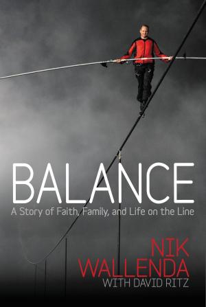 Cover of the book Balance by Derek Townsend