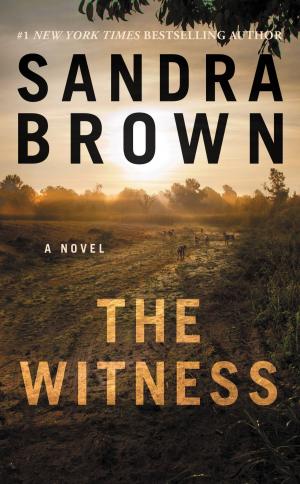 Cover of the book The Witness by Sandra Brown