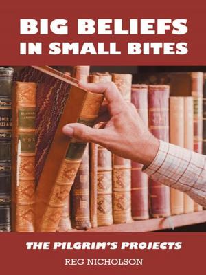 Book cover of Big Beliefs in Small Bites