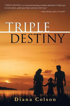 Cover of the book Triple Destiny by Jennifer Blake-Edwards
