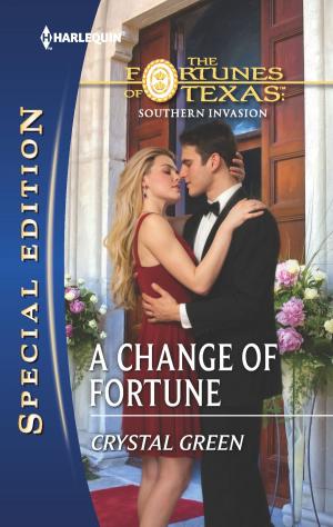 Cover of the book A Change of Fortune by Jane Porter