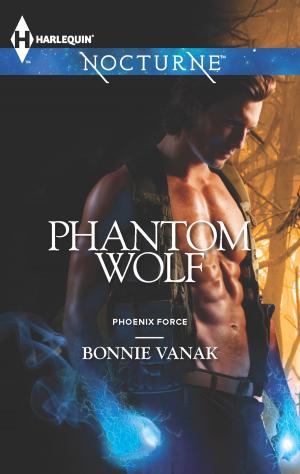 Cover of the book Phantom Wolf by Dawn Stewardson