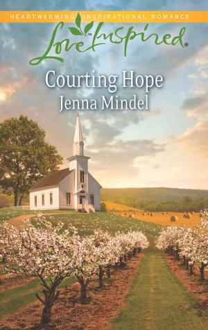 bigCover of the book Courting Hope by 