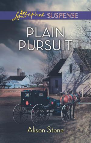 Cover of the book Plain Pursuit by Katherine Garbera
