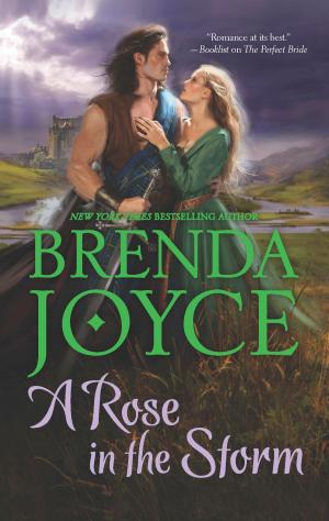 Cover of the book A Rose in the Storm by Lindsay McKenna
