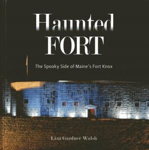 Book cover of The Haunted Fort