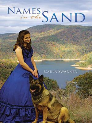 Cover of the book Names in the Sand by Kate Hodges