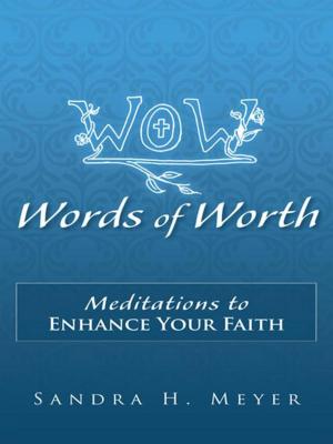 bigCover of the book Words of Worth by 