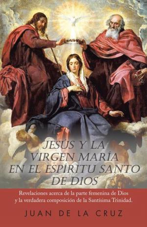 Cover of the book Jesús Y La Virgen María En El Espíritu Santo De Dios by Dr. Adalberto García de Mendoza, Dr. Evodio Escalante
