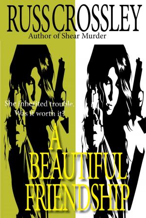 Cover of the book A Beautiful Friendship by Twist Ranger