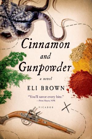 Cover of the book Cinnamon and Gunpowder by David Kline