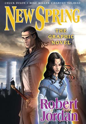 Cover of the book New Spring: the Graphic Novel by Mark Mills